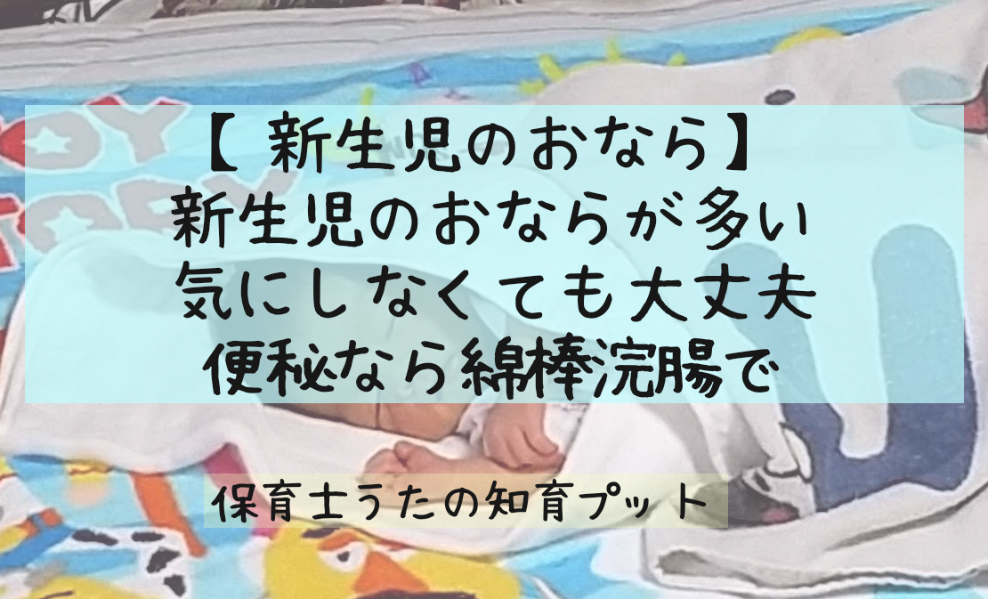 新生児のおならが多い 私の赤ちゃんもそうでした 知育プット