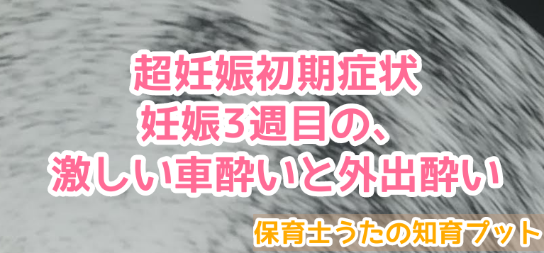 妊娠3週目 高温期8日目にあった超妊娠初期症状 激しい酔い 知育プット