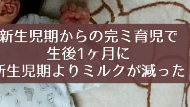 生後1ヶ月 知育プット