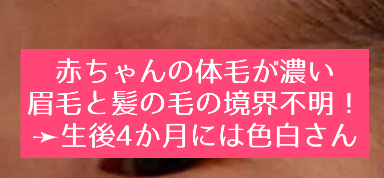 赤ちゃんの体毛が濃い 背中の胎毛も濃いし 眉毛と髪の毛が繋がってる 知育プット