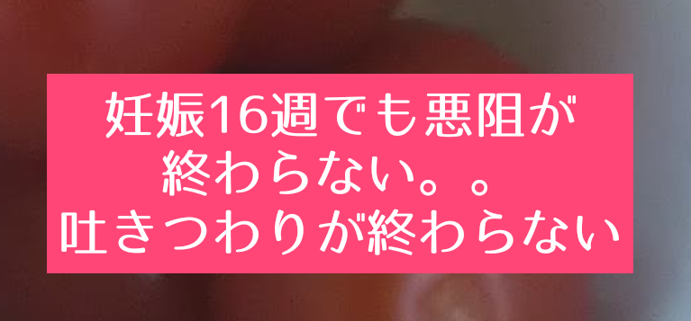 妊娠16週でも吐きつわりが終わらない 妊娠5ヶ月なのに悪阻がスッキリしない 知育プット