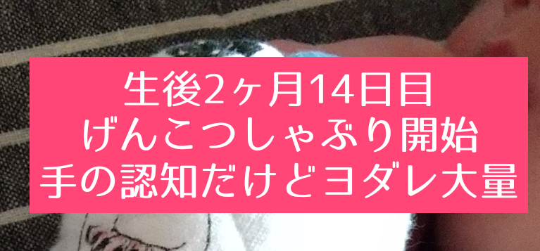 生後2ヶ月の赤ちゃんにげんこつしゃぶりが開始 指しゃぶりももうすぐ始まる 知育プット