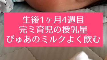 生後1ヶ月 知育プット