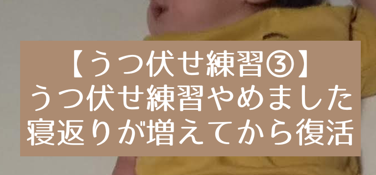 うつ伏せ練習 うつ伏せ練習をやめた 赤ちゃんが苦しそうだから やめどきだった そして一ヶ月後に再開 知育プット