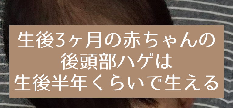 生後3ヶ月の赤ちゃんの後頭部ハゲはいつ生える 生後半年くらいで髪が生えたこと 知育プット