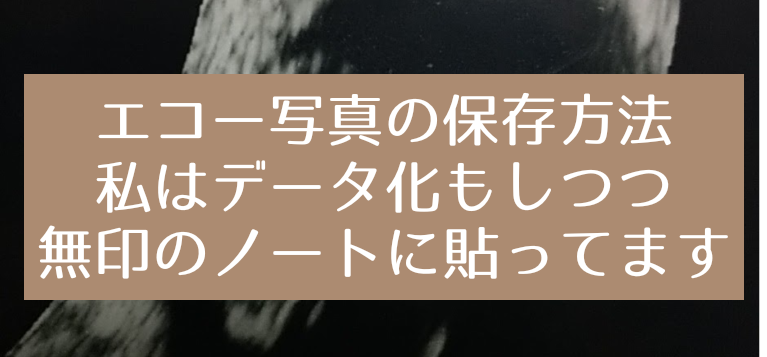 妊婦健診のエコー写真の保存方法 私はデータ化もして 無印のノートに手書き付きで貼ってます 知育プット