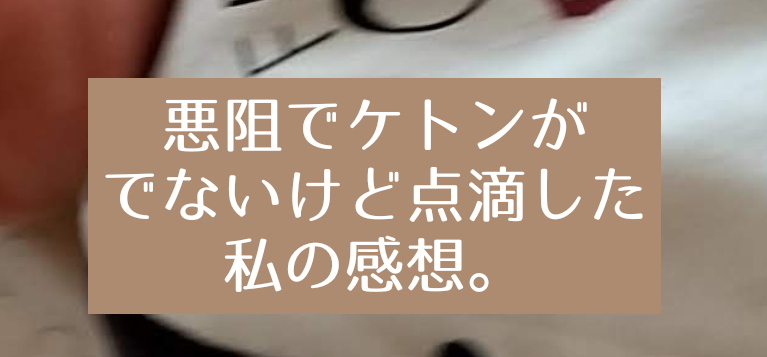 つわりでケトンがでないけど点滴した感想 ケトン出なくてもめっちゃ吐く 知育プット